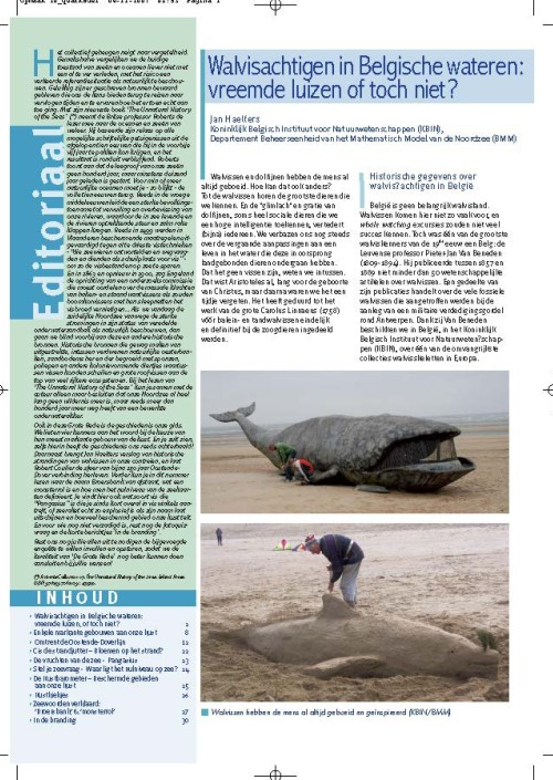 Walvisachtigen in Belgische wateren: vreemde luizen of toch niet?