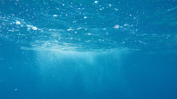 Meeste zuurstof die we inademen komt uit zee