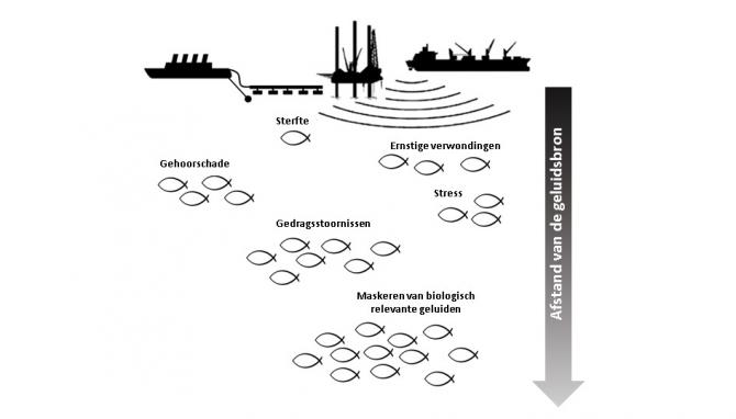 effecten-op-vissen.jpg