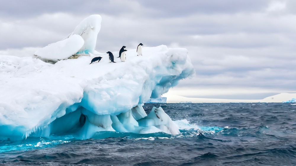 Zuidelijke Oceaan als CO2-sink