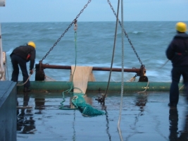 15231_beam-trawlling