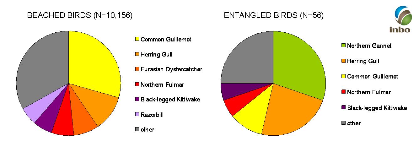 beached_entangled_graph_with_logo