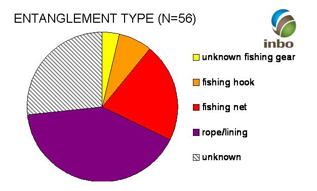 entanglement_type_with_logo