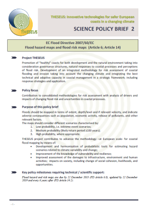 Policy Brief 2