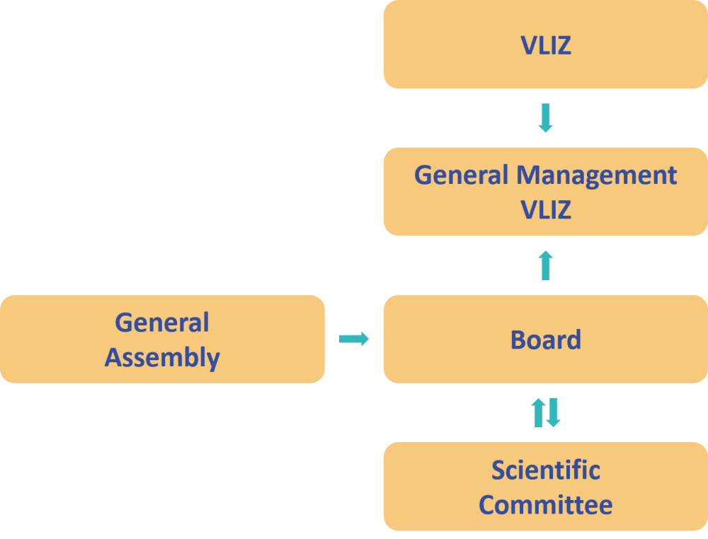 Organisation chart VLIZ