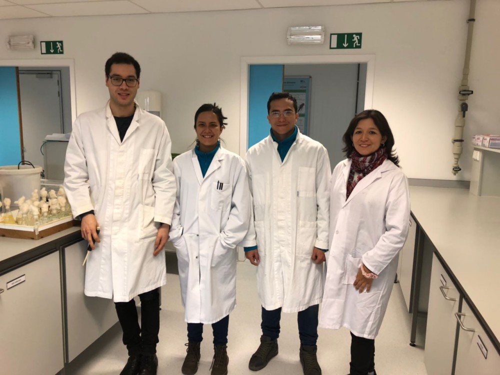 vier jonge onderzoekers in laboratorium