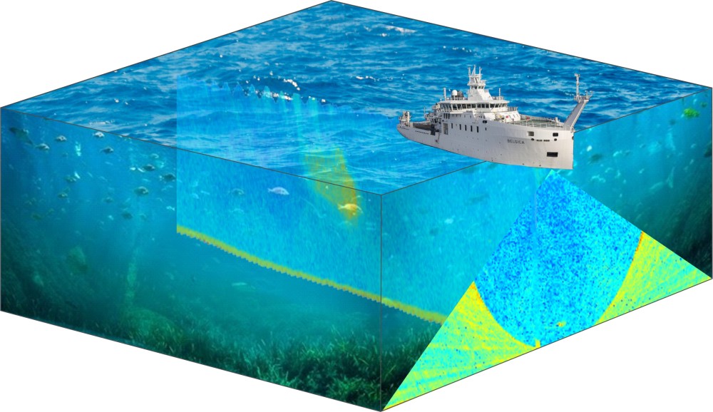 3D multibeam data