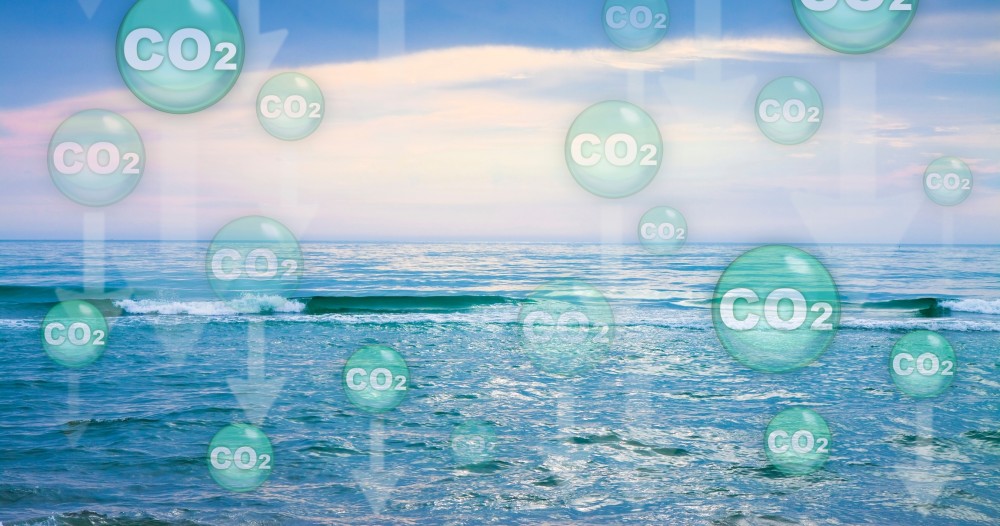 role of ocean in Global Carbon Budget