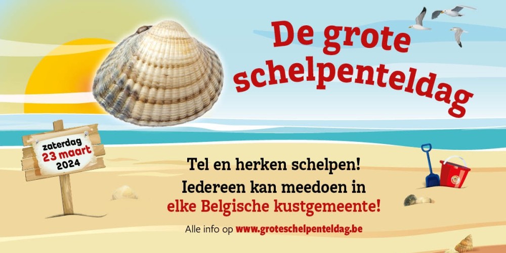 Grote Schelpenteldag 2024