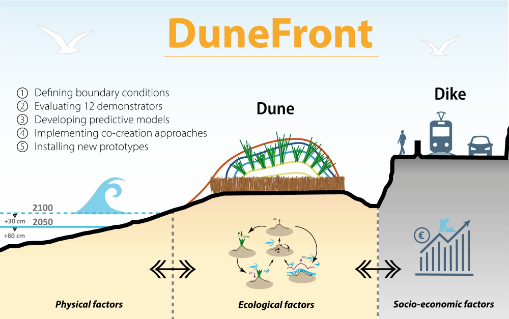 Grafische voorstelling van het DuneFront concept