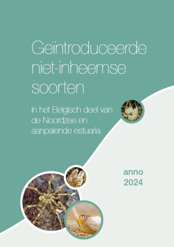 Hoogtepunte 10_3 2024