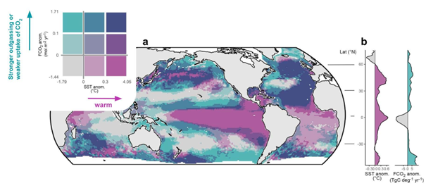 Kaart van de wereldzeeën met afwijkende CO₂-fluxen en zeewatertemperaturen (SST’s) in 2023. 