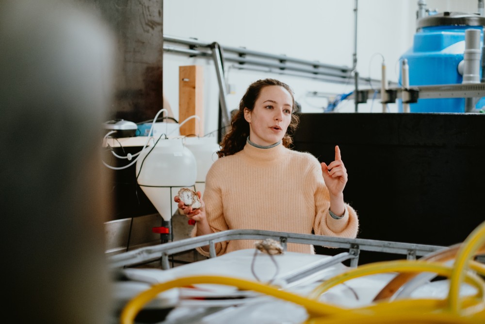 Sarah Schmildin in lab experiments Pacific Oyster