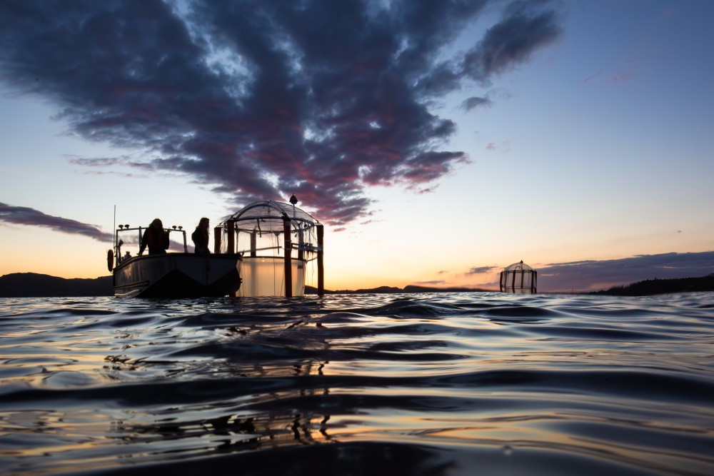 Michael Sswat | GEOMAR