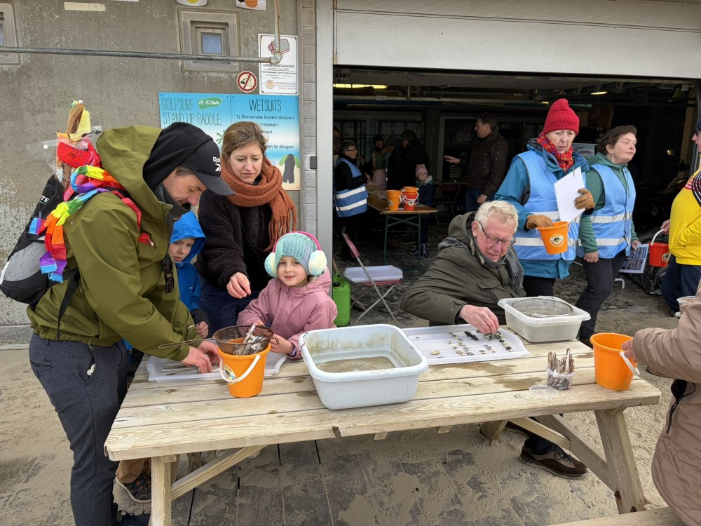 De Grote Schelpenteldag 2026