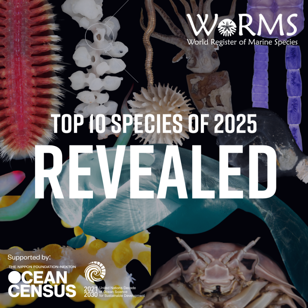 top-10 nieuwe soorten 2025