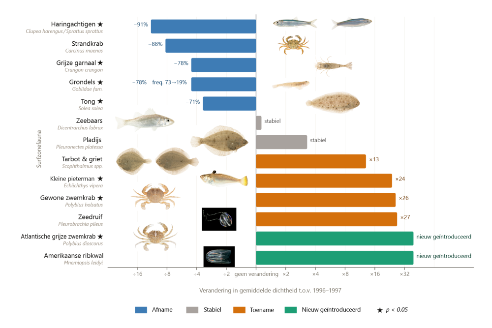 Grafiek van de verschuiving in de surfzonefauna