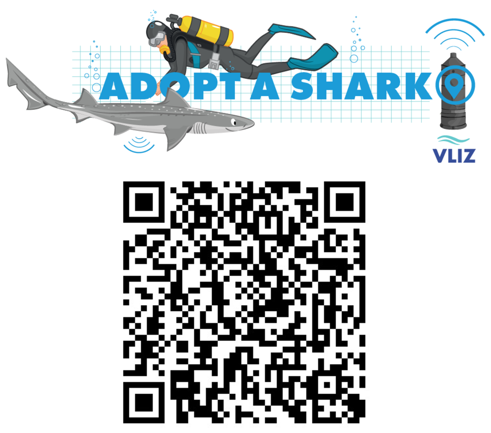 QR code voor donaties Adopt a Shark