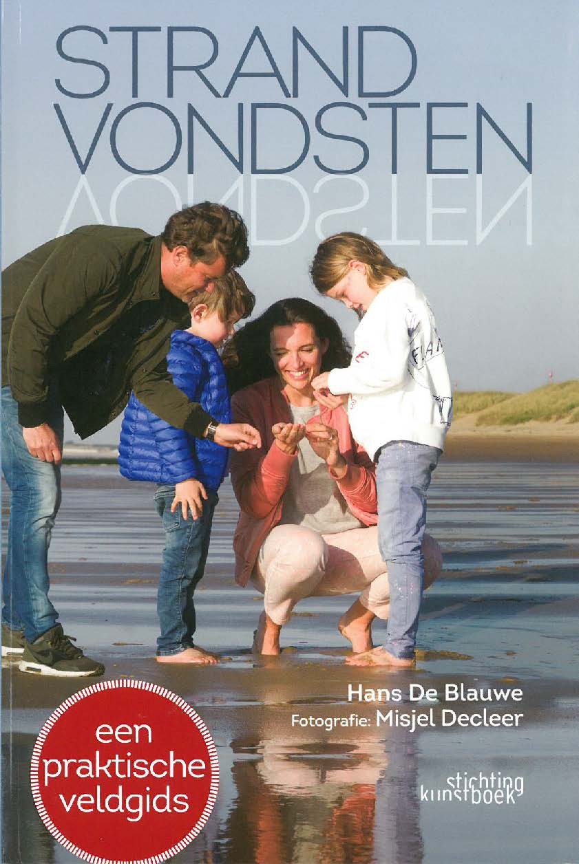Strandvondsten: Een praktische veldgids