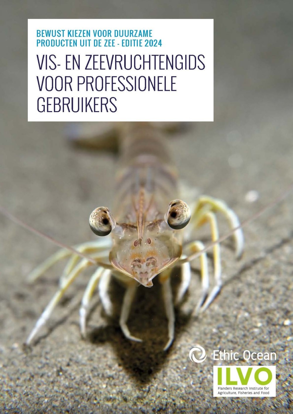 Vis- en zeevruchtengids voor professionele gebruikers. Bewust kiezen voor duurzame producten uit de zee.