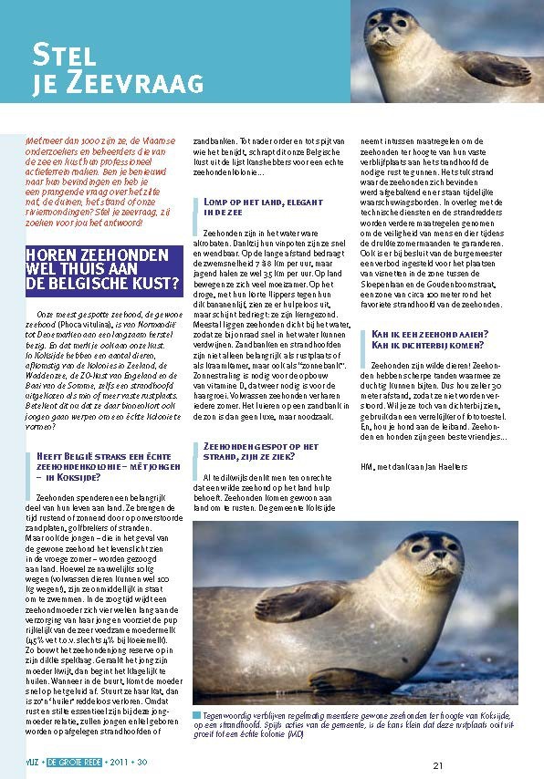 Stel je zeevraag: Horen zeehonden wel thuis aan de Belgische kust?