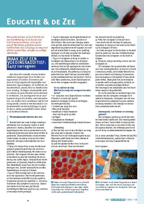 Educatie & de zee: Maak zelf een voedingsadditief: E407 carrageen