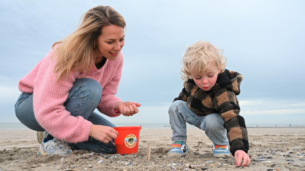 Big Seashell Survey 2025