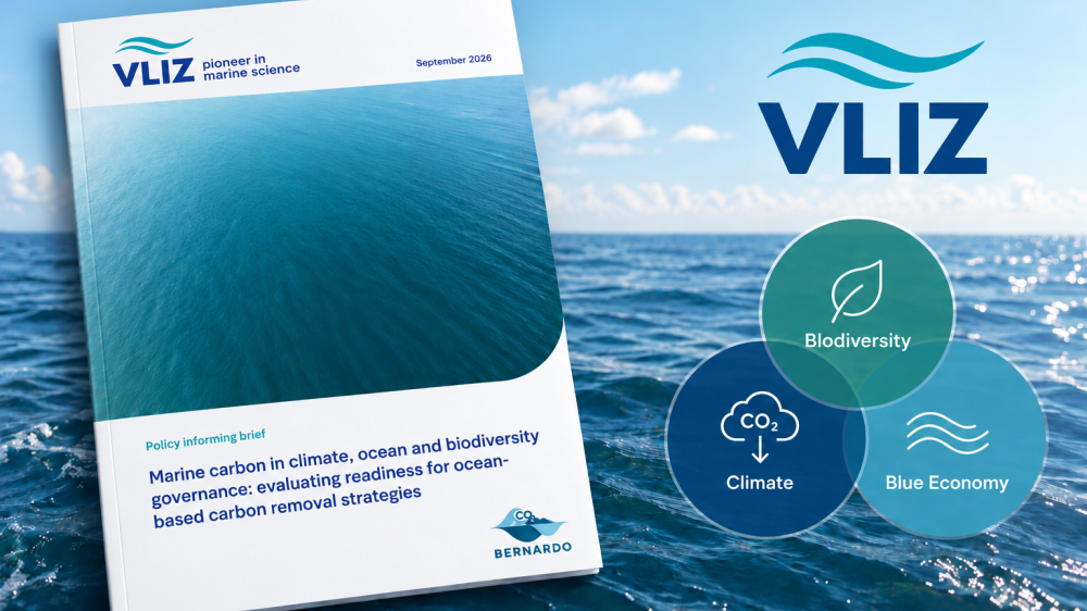 Cover PB ocean-based carbon removal BERNARDO