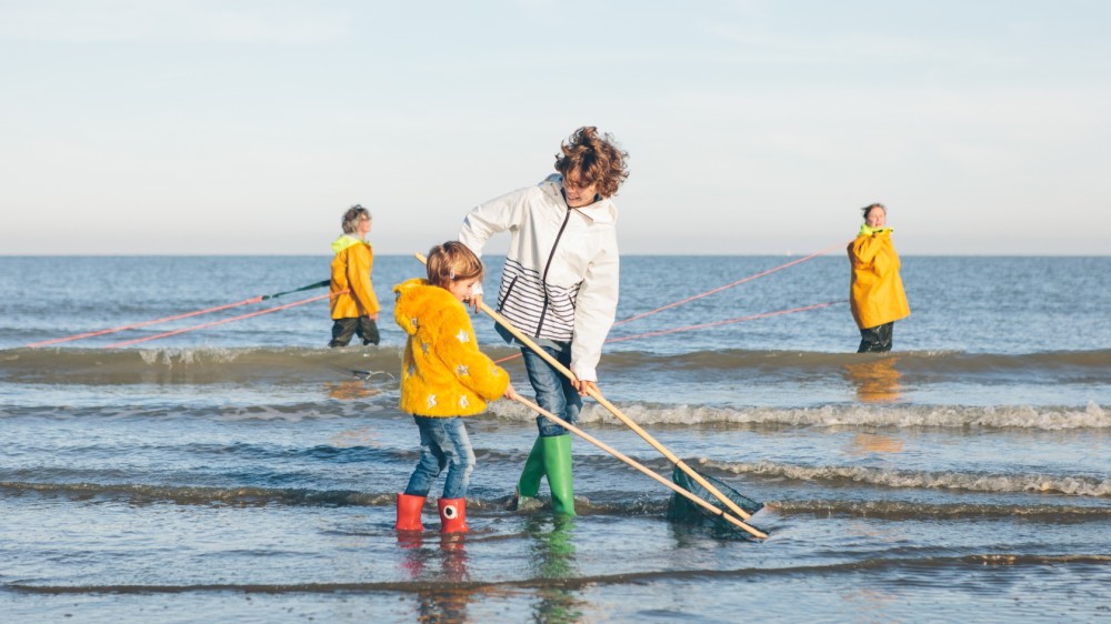 Citizen science on the North Sea under the microscope