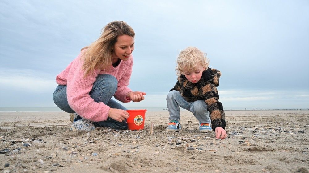 Oude kokkels en recordaantal schelpen op achtste editie Grote Schelpenteldag