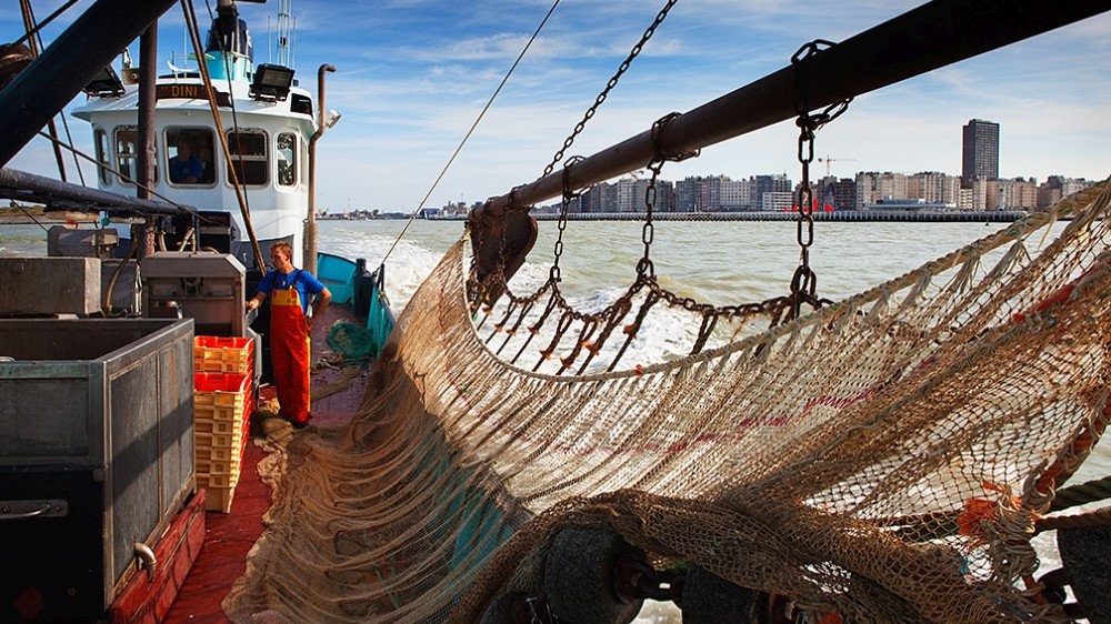 Na Brexit, een andere toekomst voor de Vlaamse visserij