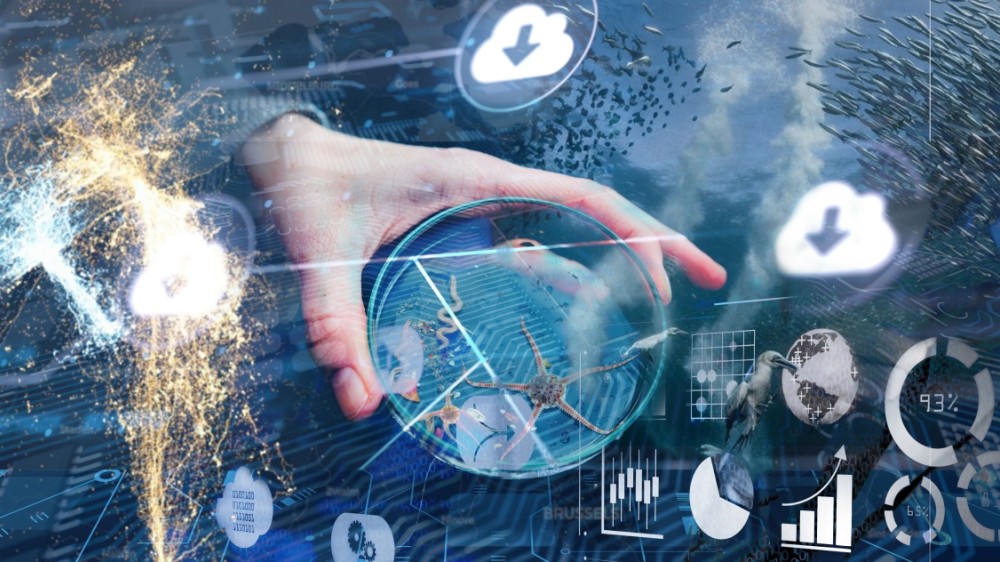 In de maak: data cloud toepassing met Belgische mariene data voor de blauwe economie