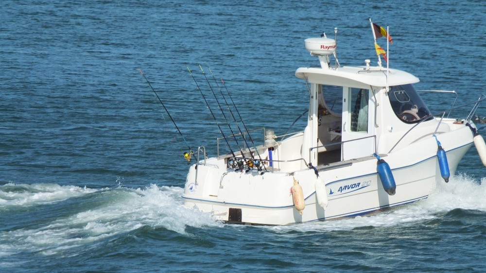 New Belgian report on recreational fisheries points at a decline in the cod stock