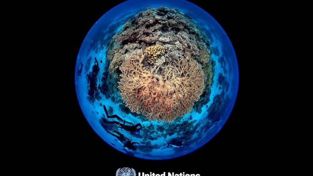 Flanders supported research data infrastructures played key role in UN Ocean report