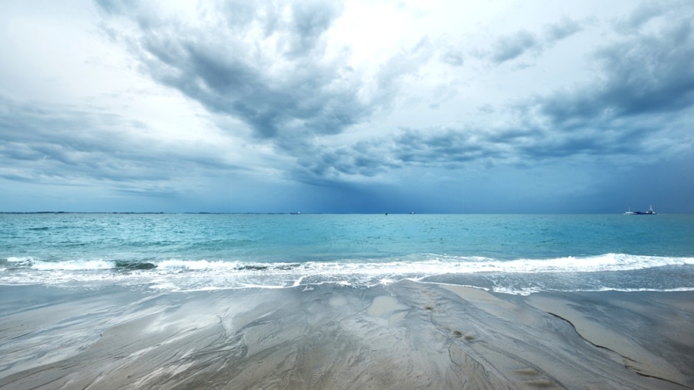 De Noordzee, een belangrijke bondgenoot in de strijd tegen klimaatopwarming?