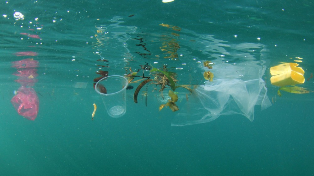 Wereldwijd ingezette plasticvangers in rivieren, havens en oceaan kritisch bekeken
