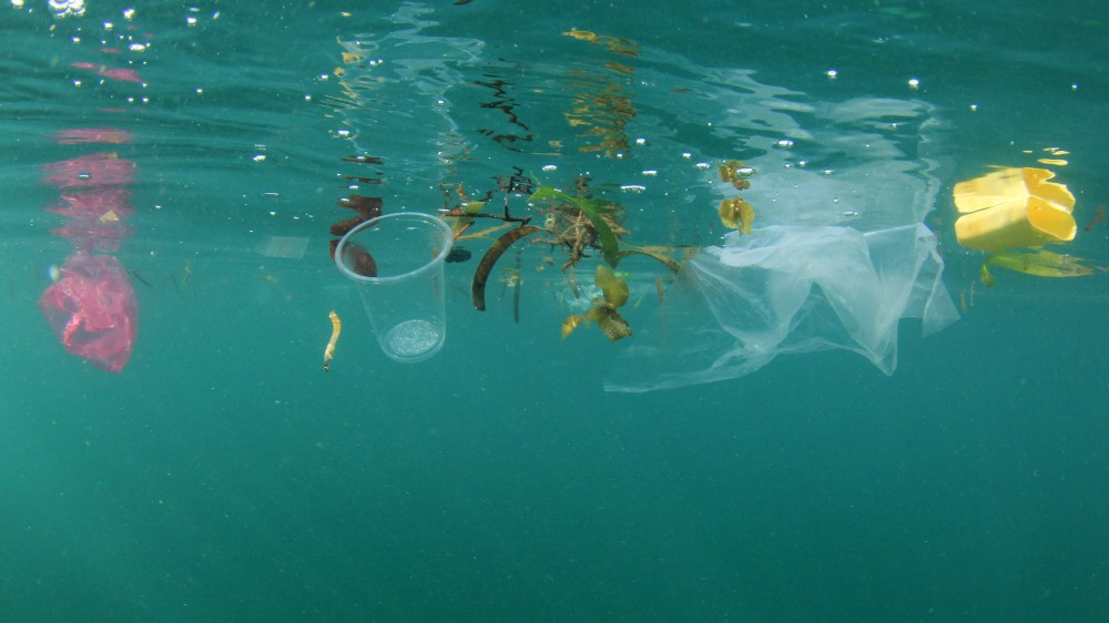Globally used plastic catchers in rivers, ports and ocean critically examined