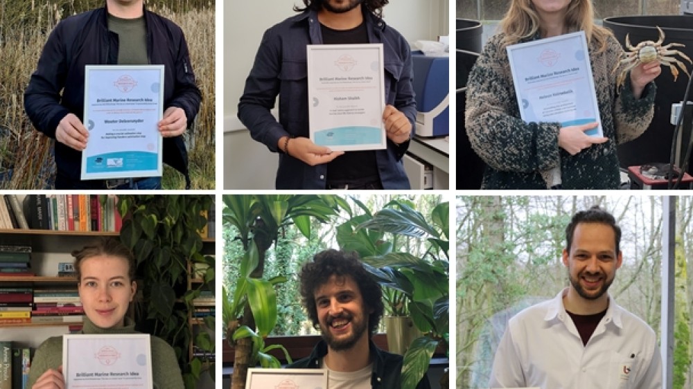 The Sea as a Good Cause awards six Brilliant Marine Research Idea grants