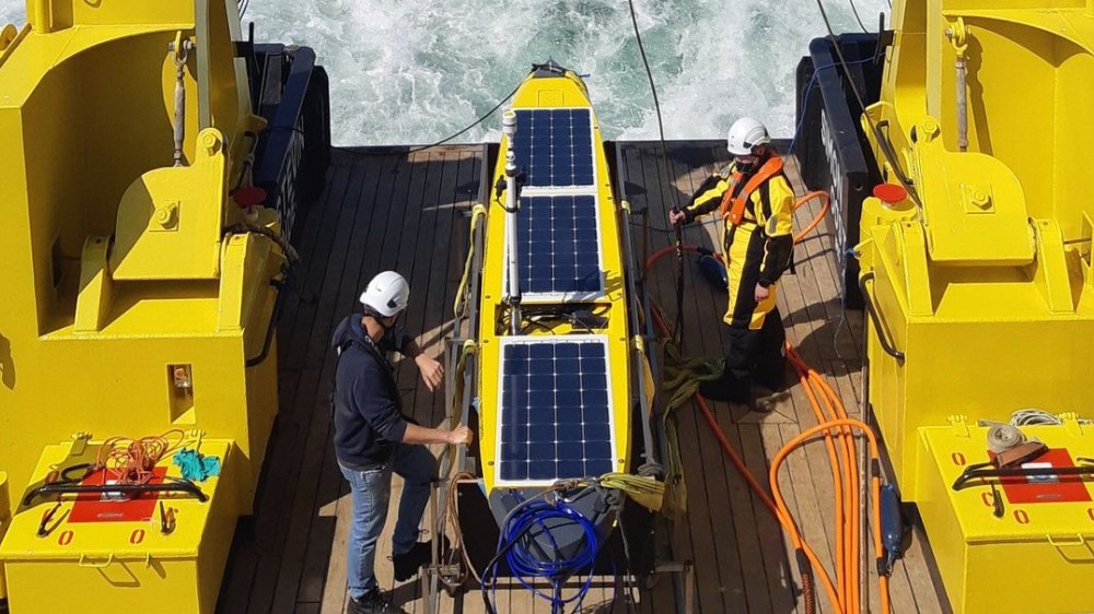 Belgisch marien onderzoekslandschap zet zijn groei voort