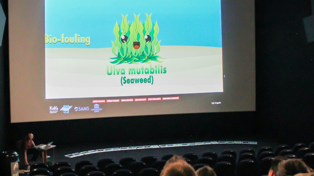 A science-art connection: students explore the world of algae