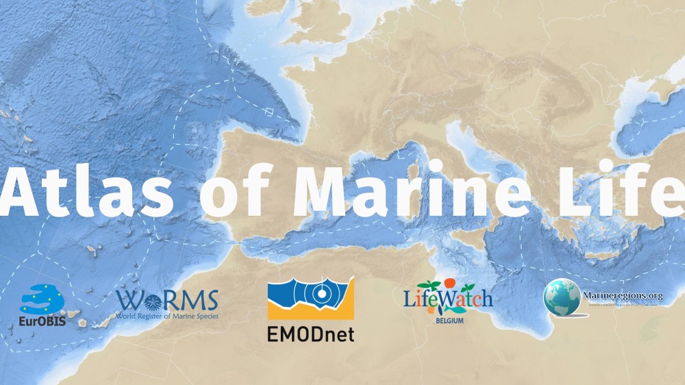 EMODnet launches Atlas of European Marine Life