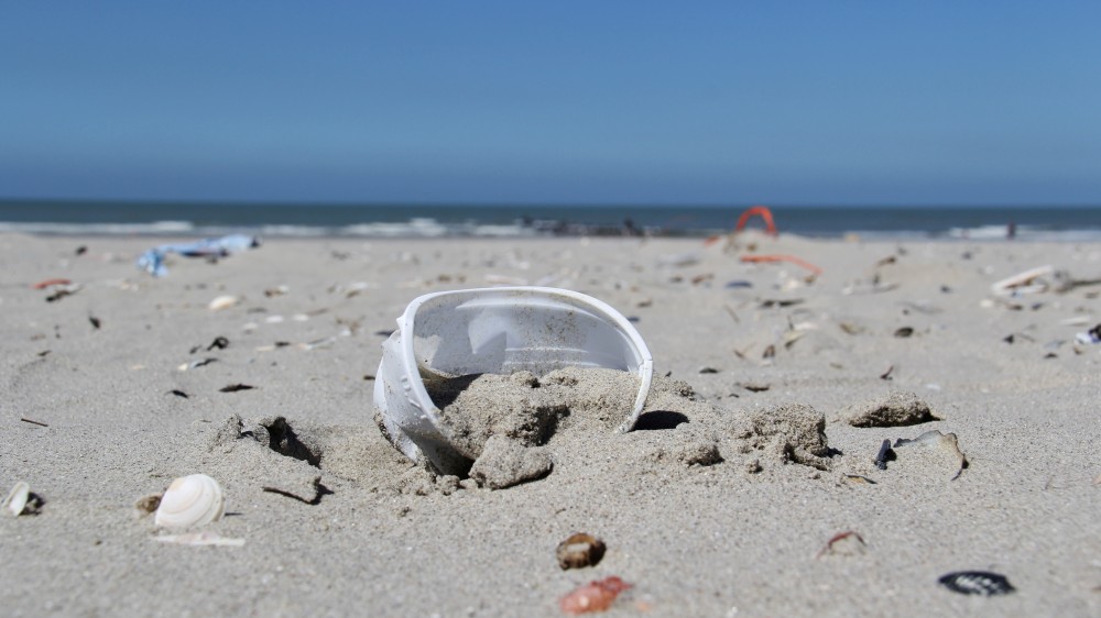 Marien zwerfvuil en microplastics: expertise en wetenschappelijke kennis in Vlaanderen 