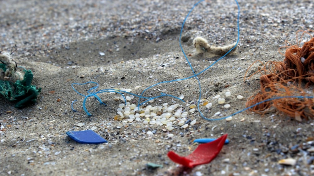 Overzicht kennis en Belgisch onderzoek inzake marien zwerfvuil en microplastics anno 2019