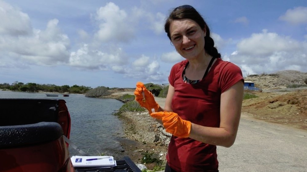 Brilliant Marine Research Idea beurzen toegekend