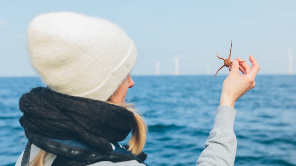 Call Brilliant Marine Research Idea 2020