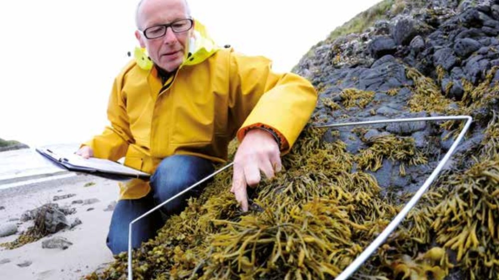 European Marine Board calls for more coherent biological ocean observations in Europe