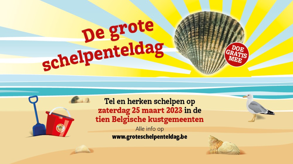 Kom je ook mee tellen op de Grote Schelpenteldag 2023?