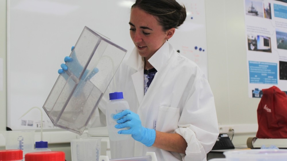 Student job vacancies at VLIZ for summer 2018 