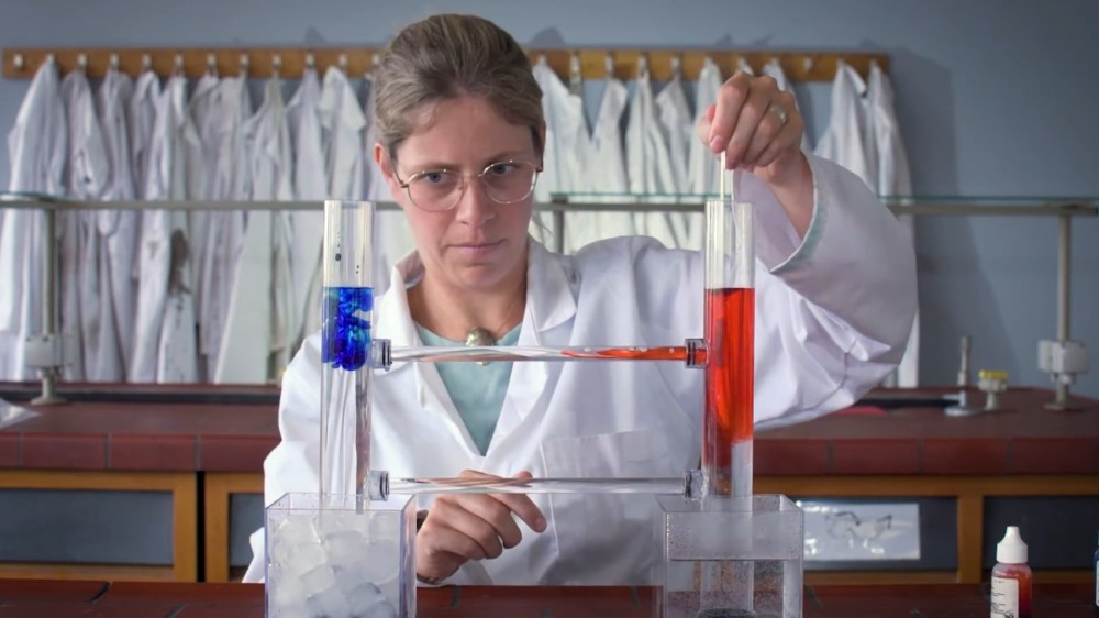 Educatieve website PlaneetZee nieuw leven ingeblazen 