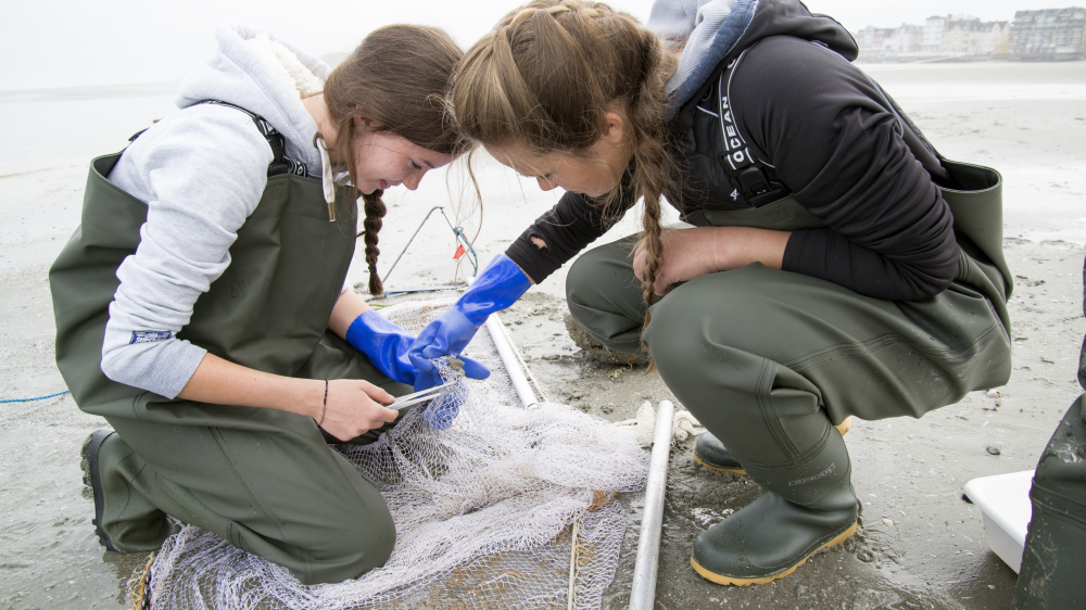 Provinciaal Instituut Lommel wint PlaneetZee@Work 2015-2016